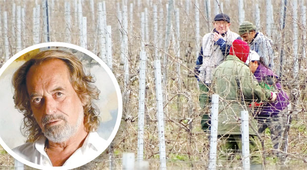 Честитка власника Вршачких винограда: Драшковић пожелео повратак на посао